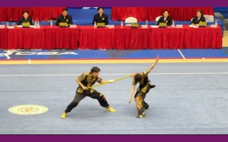 雷速官网-比赛过程惊险刺激，现场掌声如潮涌