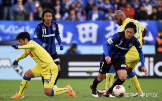 雷速直播-深圳新世纪战胜福建黄蜂，全队士气高涨