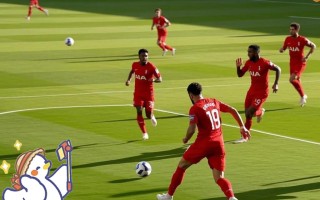 雷速官网-热刺大胜维拉，继续保持领先优势