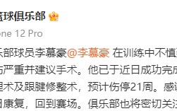 雷速官网下载-黑豹队主力球员重伤，赛季报销