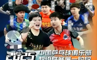 雷速官网-球迷的热情高涨，现场气氛热火朝天