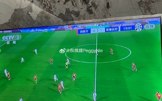 雷速官网-格鲁吉亚客场告捷，小组领先位置稳固