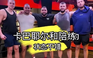 雷速官网下载-加拿大运动员在拳击比赛中技压群雄