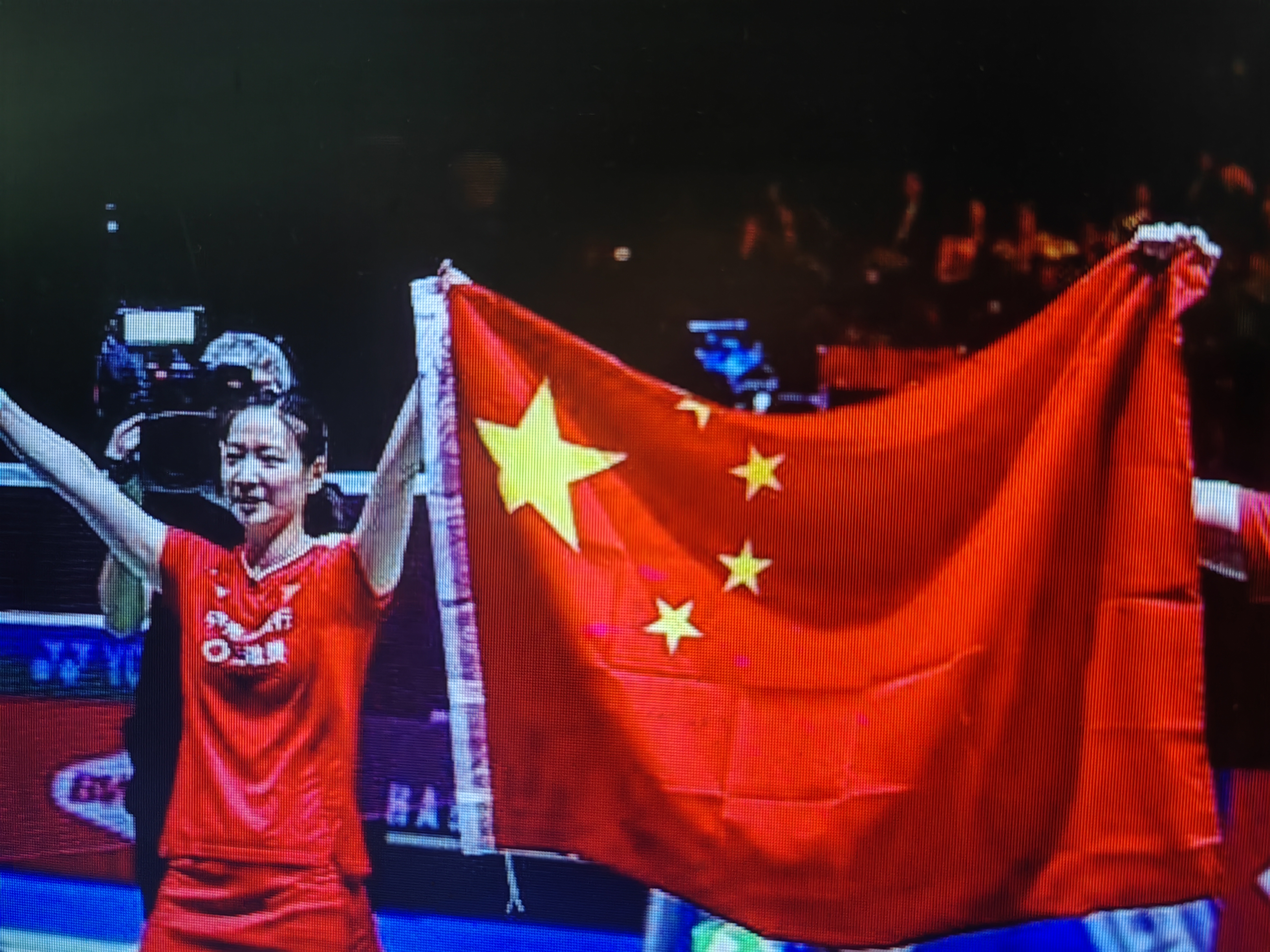 雷速官网-羽毛球双打选手携手力挽狂澜夺冠-第2张图片-雷速官网