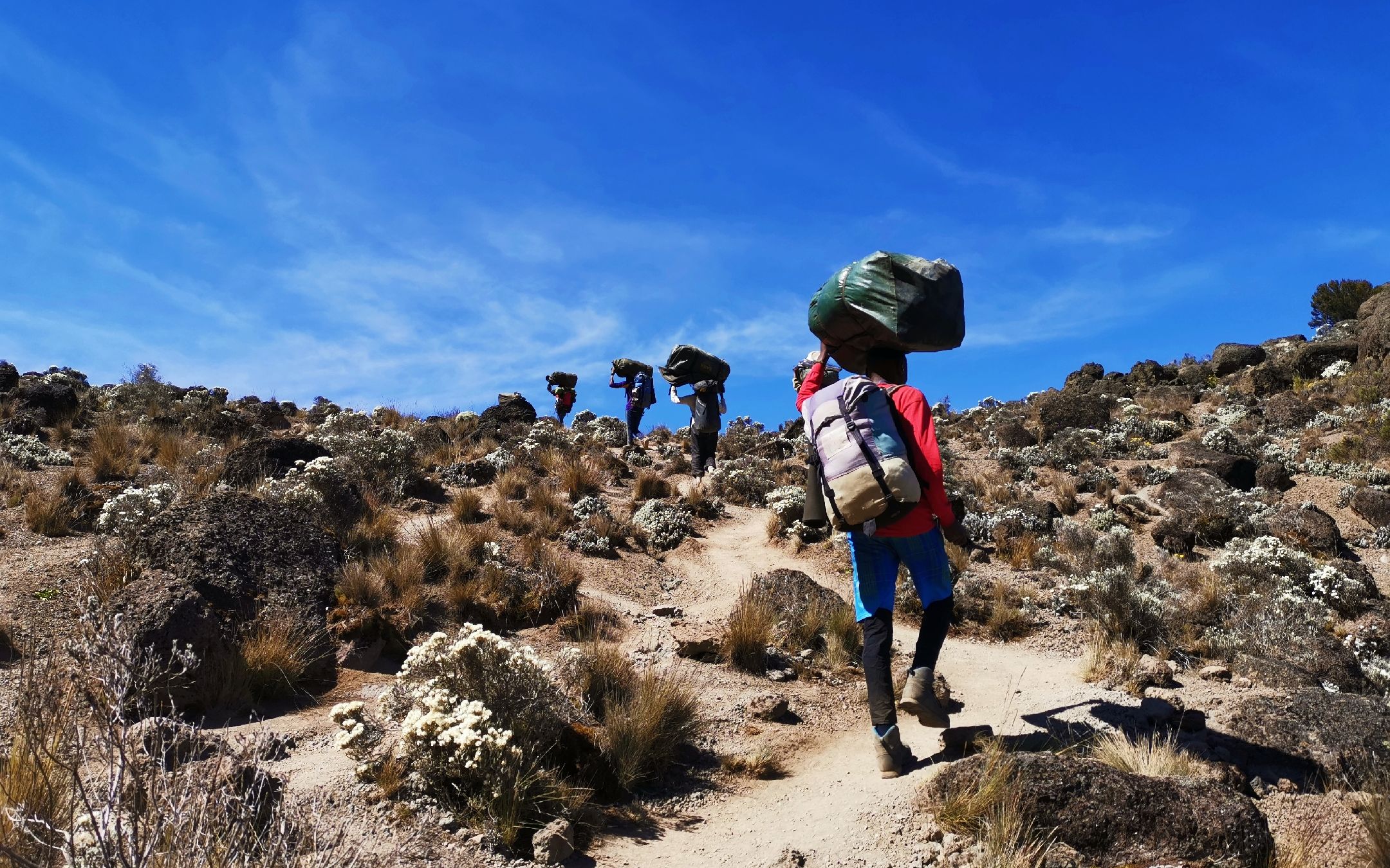雷速官网-埃及迎战科特迪瓦，非洲之巅之战-第1张图片-雷速官网