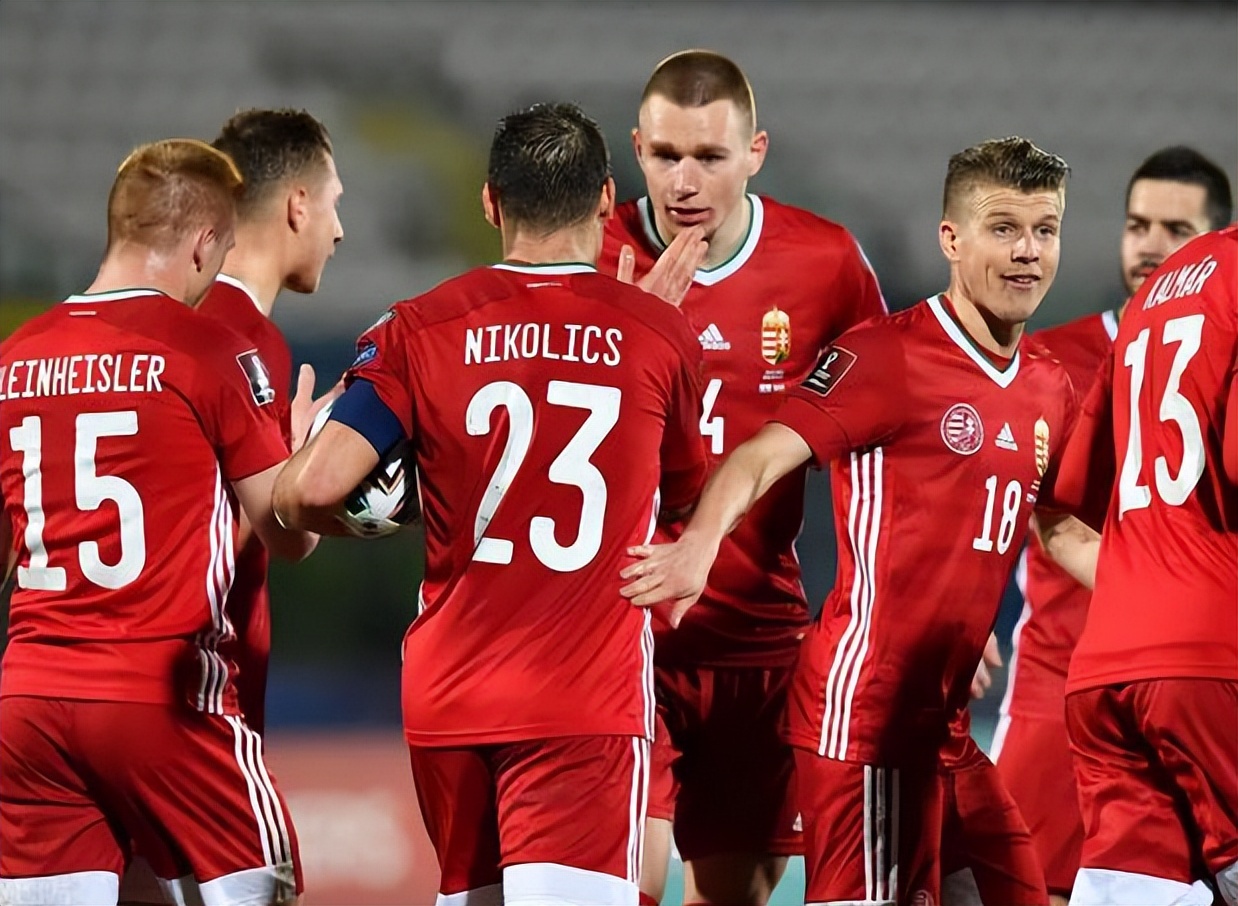 雷速-塞尔维亚战平爱尔兰，欧锦赛资格赛形势严峻-第1张图片-雷速官网