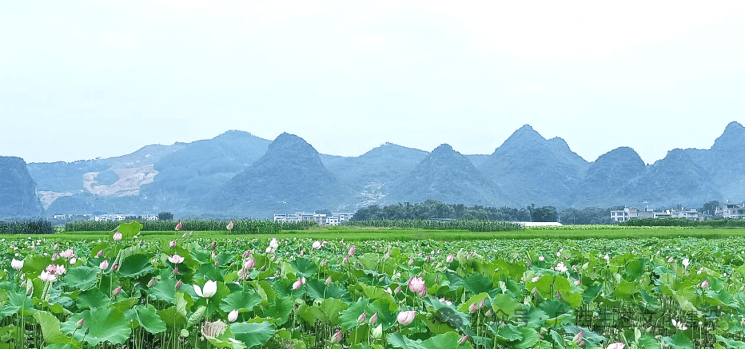 雷速-广西贺州不敌南京回龙，展现实力-第1张图片-雷速官网