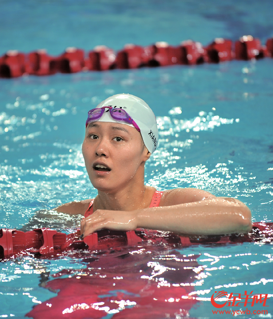 雷速-哥伦比亚游泳选手冲破记录,轻松夺冠-第2张图片-雷速官网 雷速-哥伦比亚游泳选手冲破记录,轻松夺冠-第2张图片-雷速官网