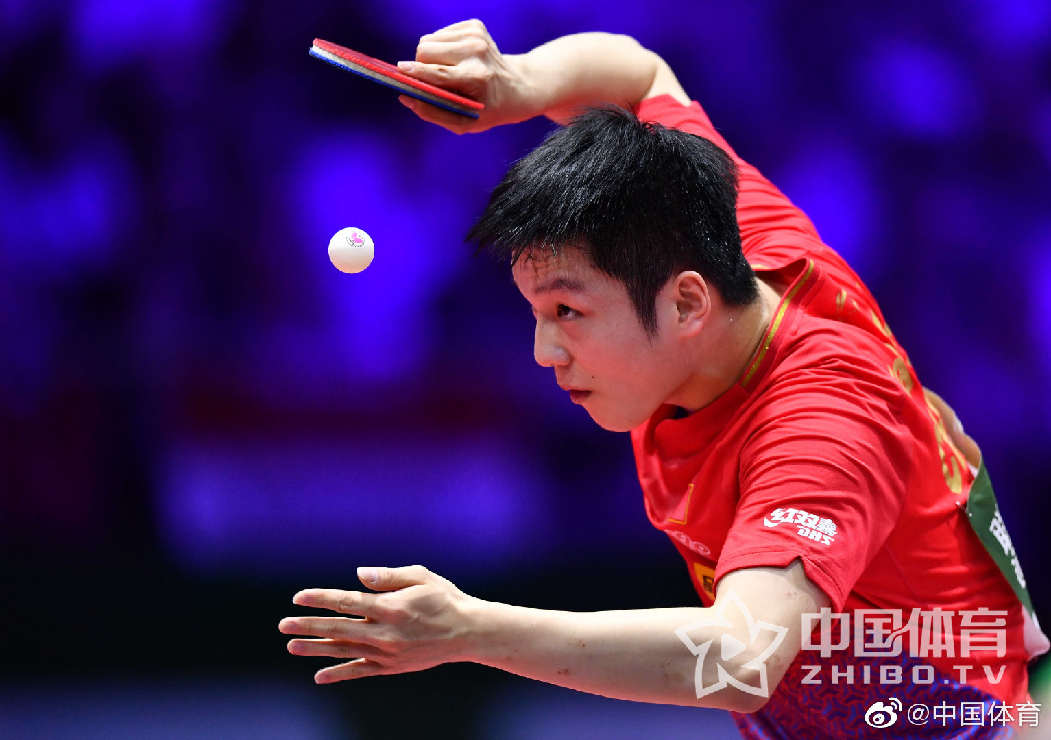 雷速-尼日利亚选手勇夺冠军，刷新记录-第2张图片-雷速官网