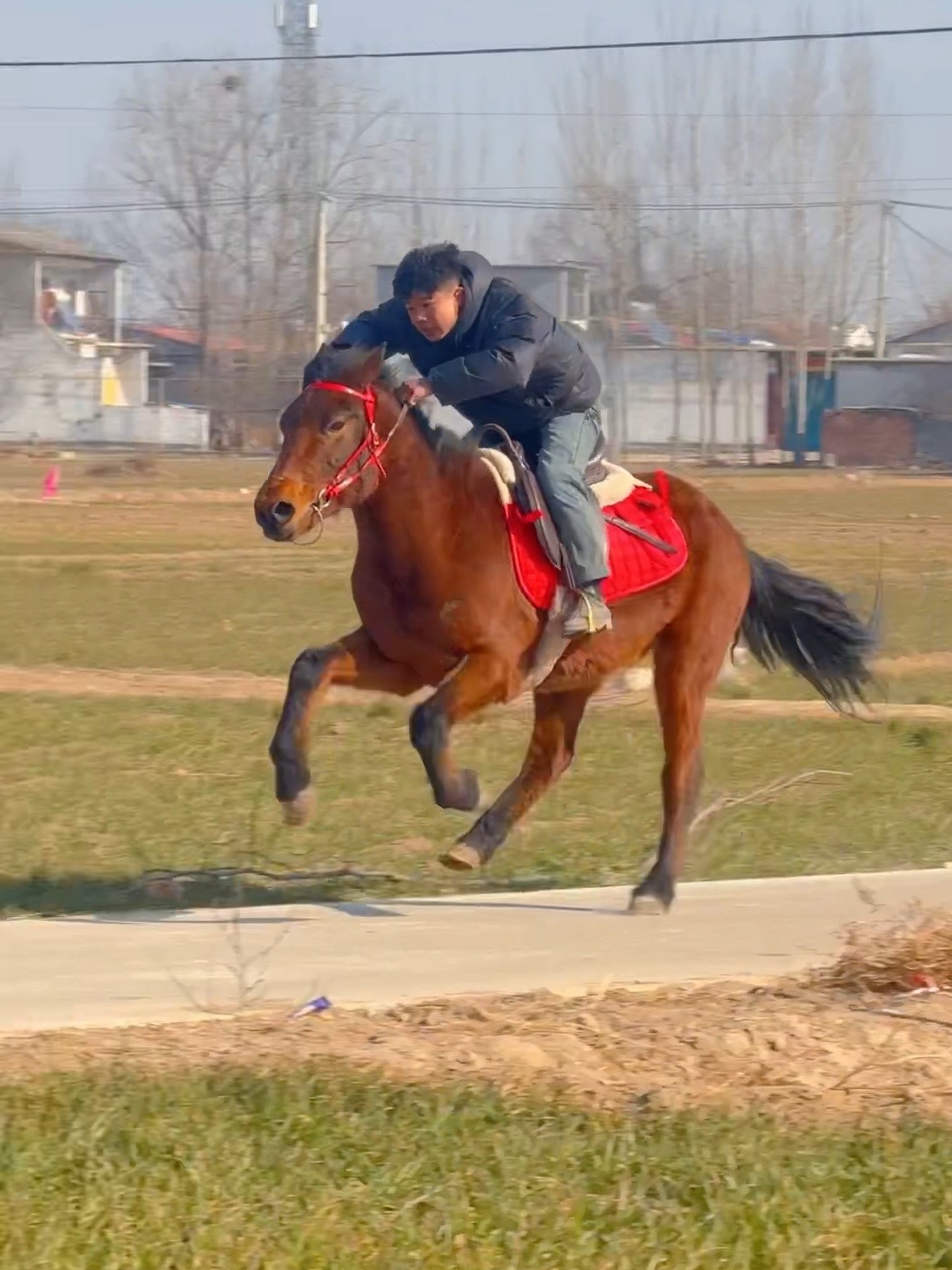 雷速官网下载-竞技狂欢!运动员们策马扬鞭-第2张图片-雷速官网 雷速官网下载-竞技狂欢!运动员们策马扬鞭-第2张图片-雷速官网